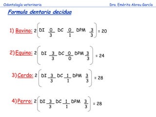 Odontología veterinaria                                              Dra. Emérita Abreu García

  Formula dentaria decidua


   1) Bovino: 2 DI 0              DC       0   DPM       3    = 20
                          3                1             3



   2) Equino: 2 DI 3 DC 0 DPM 3
                                                             = 24
                              3            0         3


     3) Cerdo: 2 DI 3 DC 1 DPM 3                             = 28
                          3            1             3



     4) Perro: 2 DI 3 DC 1 DPM 3                         = 28
                          3            1         3
 