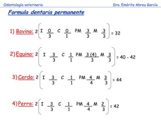 Odontología veterinaria                                           Dra. Emérita Abreu García

  Formula dentaria permanente


   1) Bovino: 2 I 0               C       0       PM   3 M   3
                                                                 = 32
                          3               1            3     3



   2) Equino: 2 I             3       C       1 PM 3 (4) M 3
                                                                   = 40 - 42
                              3               1      3     3


     3) Cerdo: 2 I            3       C       1    PM 4 M 3
                                                                  = 44
                              3               1       4   3



     4) Perro: 2 I        3       C       1       PM 4 M 2
                                                                 = 42
                          3               1          4   3
 