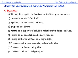 Odontología veterinaria                                Dra. Emérita Abreu García

  Aspectos morfológicos para determinar la edad
  1. EQUINO:
       a) Tiempo de erupción de los dientes deciduos y permanentes.
       b) Desaparición del infundíbulo.
       c) Aparición de la estrella dentaria.
       d) Erupción del canino.
       e) Forma de la superficie oclusal o masticatoria de los incisivos.
       f) Forma de las arcadas mandibular y maxilar.
       g) Forma del borde ventral de la mandíbula.
       h) Presencia del primer premolar o diente de lobo.
       i) Presencia de la cola del gavilán.
       j) Presencia del surco del galvayne.
 