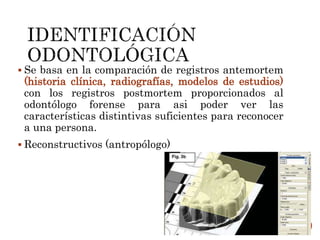  Se basa en la comparación de registros antemortem
(historia clínica, radiografías, modelos de estudios)
con los registros postmortem proporcionados al
odontólogo forense para asi poder ver las
características distintivas suficientes para reconocer
a una persona.
 Reconstructivos (antropólogo)
 