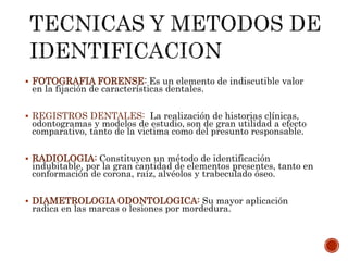  FOTOGRAFIA FORENSE: Es un elemento de indiscutible valor
en la fijación de características dentales.
 REGISTROS DENTALES: La realización de historias clínicas,
odontogramas y modelos de estudio, son de gran utilidad a efecto
comparativo, tanto de la victima como del presunto responsable.
 RADIOLOGIA: Constituyen un método de identificación
indubitable, por la gran cantidad de elementos presentes, tanto en
conformación de corona, raíz, alvéolos y trabeculado óseo.
 DIAMETROLOGIA ODONTOLOGICA: Su mayor aplicación
radica en las marcas o lesiones por mordedura.
 