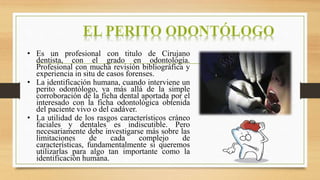• Es un profesional con titulo de Cirujano
dentista, con el grado en odontología.
Profesional con mucha revisión bibliográfica y
experiencia in situ de casos forenses.
• La identificación humana, cuando interviene un
perito odontólogo, va más allá de la simple
corroboración de la ficha dental aportada por el
interesado con la ficha odontológica obtenida
del paciente vivo o del cadáver.
• La utilidad de los rasgos característicos cráneo
faciales y dentales es indiscutible. Pero
necesariamente debe investigarse más sobre las
limitaciones de cada complejo de
características, fundamentalmente si queremos
utilizarlas para algo tan importante como la
identificación humana.
 