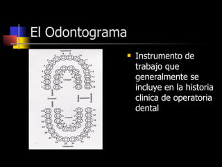 El Odontograma Instrumento de trabajo que generalmente se incluye en la historia clinica de operatoria dental 
