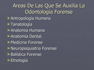Areas De Las Que Se Auxilia La Odontología Forense Antropología Humana  Tanatología  Anatomía Humana  Anatomía Dental.  Medicina Forense  Neuropsiquiatría Forense  Balística Forense  Etnología 