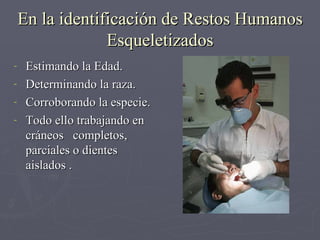 En la identificación de Restos Humanos Esqueletizados Estimando la Edad. Determinando la raza. Corroborando la especie. Todo ello trabajando en cráneos  completos, parciales o dientes aislados .  