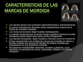 Los dientes tienen esa condición específicamente e individualmente.  La marca individual se describe como característica interna de la huella de mordida completa.  Los incisivos humanos dejan huellas rectangulares.  La atrición producida por el borde incisal cuspídeo (canino) la huella resultante puede observarse como puntos triangulares.  Los dientes bicúspides, dejan huellas a menudo como un número 8. El tipo característico de modelo de marcas de mordida se refiere a formas creadas por grupos de dientes de ambas arcadas que impresionan en una superficie mordida.  Se observan modalidades redondas, ovoides o elípticas, cuya variación va asociada con arcos, cuadrados, afilados o de forma triangular. 
