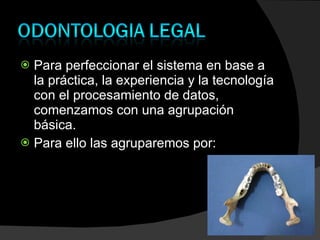 Para perfeccionar el sistema en base a la práctica, la experiencia y la tecnología con el procesamiento de datos, comenzamos con una agrupación básica. Para ello las agruparemos por: 
