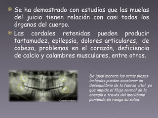 Se ha demostrado con estudios que las muelas del juicio tienen relación con casi todos los órganos del cuerpo. Las cordales retenidas pueden producir tartamudez, epilepsia, dolores articulares,  de cabeza, problemas en el corazón, deficiencia de calcio y calambres musculares, entre otros. De igual manera las otras piezas incluidas pueden ocasionar un desequilibrio de la fuerza vital, ya que impide el flujo normal de la energía a través del meridiano poniendo en riesgo su salud. 
