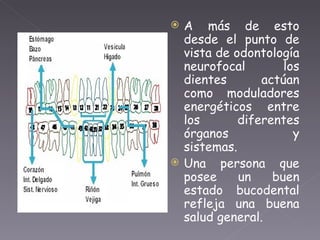A más de esto desde el punto de vista de odontología neurofocal los dientes actúan como moduladores energéticos entre los diferentes órganos y sistemas.  Una persona que posee un buen estado bucodental refleja una buena salud general. 