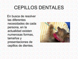 CEPILLOS DENTALES
En busca de resolver
las diferentes
necesidades de cada
persona, en la
actualidad existen
numerosas formas,
tamaños y
presentaciones de
cepillos de dientes.
 