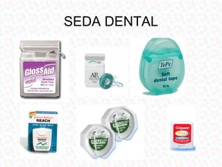 SEDA DENTAL
 