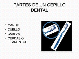 PARTES DE UN CEPILLO
            DENTAL


•   MANGO
•   CUELLO
•   CABEZA
•   CERDAS O
    FILAMENTOS
 