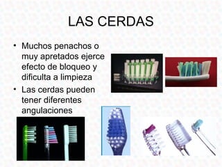 LAS CERDAS
• Muchos penachos o
  muy apretados ejerce
  efecto de bloqueo y
  dificulta a limpieza
• Las cerdas pueden
  tener diferentes
  angulaciones
 