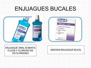 ENJUAGUES BUCALES




ENJUAGUE ORAL B MENTA
 FLUOR Y CLORURO DE     AMOXAN ENJUAGUE BUCAL
     CETILPIRIDINO
 