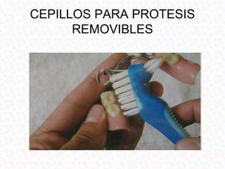 CEPILLOS PARA PROTESIS
      REMOVIBLES
 