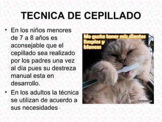 TECNICA DE CEPILLADO
• En los niños menores
  de 7 a 8 años es
  aconsejable que el
  cepillado sea realizado
  por los padres una vez
  al día pues su destreza
  manual esta en
  desarrollo.
• En los adultos la técnica
  se utilizan de acuerdo a
  sus necesidades
 