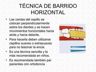 TÉCNICA DE BARRIDO
           HORIZONTAL
• Las cerdas del cepillo se
  colocan perpendicularmente
  sobre los dientes y se hacen
  movimientos horizontales hacia
  atrás y hacia delante.
• Para hacerla deben utilizarse
  cepillos suaves o extrasuaves
  para no lesionar la encia.
• Es una técnica sencilla y la
  más recomendada en niños.
• Es recomendada también par
  pacientes con ortodoncia
 