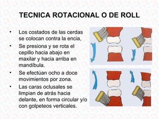 TECNICA ROTACIONAL O DE ROLL

•   Los costados de las cerdas
    se colocan contra la encia,
•   Se presiona y se rota el
    cepillo hacia abajo en
    maxilar y hacia arriba en
    mandíbula.
•   Se efectúan ocho a doce
    movimientos por zona.
•   Las caras oclusales se
    limpian de atrás hacia
    delante, en forma circular y/o
    con golpeteos verticales.
 