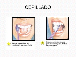 Presentación Odontologia Preventiva
