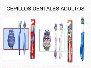 CEPILLO DE VIAJERO
• Cepillo de dientes
  ideal para llevar en
  los viajes o en la
  cartera
• Compuestos por una
  cabez...