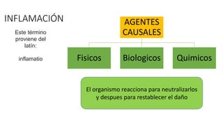 INFLAMACIÓN
Este término
proviene del
latín:
inflamatio
AGENTES
CAUSALES
Fisicos Biologicos Quimicos
El organismo reacciona para neutralizarlos
y despues para restablecer el daño
 