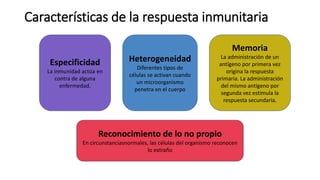 Características de la respuesta inmunitaria
Especificidad
La inmunidad actúa en
contra de alguna
enfermedad.
Heterogeneidad
Diferentes tipos de
células se activan cuando
un microorganismo
penetra en el cuerpo
Memoria
La administración de un
antígeno por primera vez
origina la respuesta
primaria. La administración
del mismo antígeno por
segunda vez estimula la
respuesta secundaria.
Reconocimiento de lo no propio
En circunstanciasnormales, las células del organismo reconocen
lo extraño
 