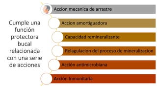 Cumple una
función
protectora
bucal
relacionada
con una serie
de acciones
Accion mecanica de arrastre
Accion amortiguadora
Capacidad remineralizante
Relagulacion del proceso de mineralizacion
Acción antimicrobiana
Acción Inmunitaria
 