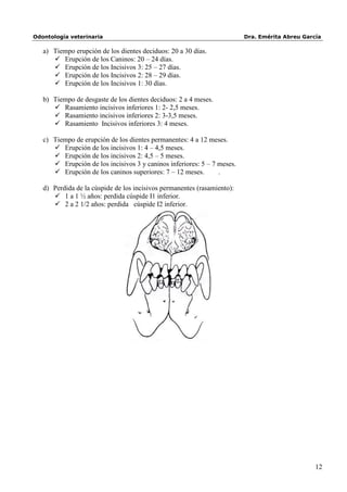 Odontología veterinaria                                                  Dra. Emérita Abreu García

   a) Tiempo erupción de los dientes deciduos: 20 a 30 días.
       Erupción de los Caninos: 20 – 24 días.
       Erupción de los Incisivos 3: 25 – 27 días.
       Erupción de los Incisivos 2: 28 – 29 días.
       Erupción de los Incisivos 1: 30 días.

   b) Tiempo de desgaste de los dientes deciduos: 2 a 4 meses.
       Rasamiento incisivos inferiores 1: 2- 2,5 meses.
       Rasamiento incisivos inferiores 2: 3-3,5 meses.
       Rasamiento Incisivos inferiores 3: 4 meses.

   c) Tiempo de erupción de los dientes permanentes: 4 a 12 meses.
       Erupción de los incisivos 1: 4 – 4,5 meses.
       Erupción de los incisivos 2: 4,5 – 5 meses.
       Erupción de los incisivos 3 y caninos inferiores: 5 – 7 meses.
       Erupción de los caninos superiores: 7 – 12 meses.       .

   d) Perdida de la cúspide de los incisivos permanentes (rasamiento):
       1 a 1 ½ años: perdida cúspide I1 inferior.
       2 a 2 1/2 años: perdida cúspide I2 inferior.




                                           I2   I1   I2




                                                                                                12
 