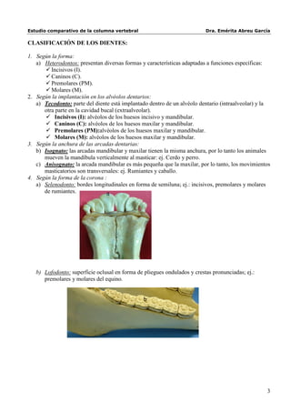 Estudio comparativo de la columna vertebral                               Dra. Emérita Abreu García

CLASIFICACIÓN DE LOS DIENTES:

1. Según la forma:
   a) Heterodontos: presentan diversas formas y características adaptadas a funciones específicas:
        Incisivos (I).
       Caninos (C).
       Premolares (PM).
       Molares (M).
2. Según la implantación en los alvéolos dentarios:
   a) Tecodonto: parte del diente está implantado dentro de un alvéolo dentario (intraalveolar) y la
      otra parte en la cavidad bucal (extraalveolar).
        Incisivos (I): alvéolos de los huesos incisivo y mandibular.
        Caninos (C): alvéolos de los huesos maxilar y mandibular.
        Premolares (PM):alvéolos de los huesos maxilar y mandibular.
        Molares (M): alvéolos de los huesos maxilar y mandibular.
3. Según la anchura de las arcadas dentarias:
   b) Isognato: las arcadas mandibular y maxilar tienen la misma anchura, por lo tanto los animales
      mueven la mandíbula verticalmente al masticar: ej. Cerdo y perro.
   c) Anisognato: la arcada mandibular es más pequeña que la maxilar, por lo tanto, los movimientos
      masticatorios son transversales: ej. Rumiantes y caballo.
4. Según la forma de la corona :
   a) Selenodonto: bordes longitudinales en forma de semiluna; ej.: incisivos, premolares y molares
      de rumiantes.              a




   b) Lofodonto: superficie oclusal en forma de pliegues ondulados y crestas pronunciadas; ej.:
      premolares y molares del equino.


                                                b




                                                                                                  3
 