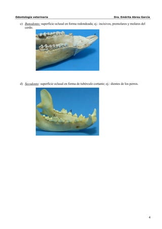Odontología veterinaria                                                     Dra. Emérita Abreu García

   c) Bunodonto: superficie oclusal en forma redondeada; ej.: incisivos, premolares y molares del
      cerdo.

                                                            c




   d) Secodonto: superficie oclusal en forma de tubérculo cortante; ej.: dientes de los perros.




                                         d
                            d




                                                                                                    4
 