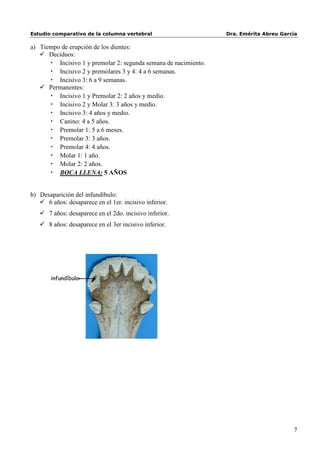 Estudio comparativo de la columna vertebral                      Dra. Emérita Abreu García

a) Tiempo de erupción de los dientes:
    Deciduos:
      • Incisivo 1 y premolar 2: segunda semana de nacimiento.
      • Incisivo 2 y premolares 3 y 4: 4 a 6 semanas.
      • Incisivo 3: 6 a 9 semanas.
    Permanentes:
      • Incisivo 1 y Premolar 2: 2 años y medio.
      • Incisivo 2 y Molar 3: 3 años y medio.
      • Incisivo 3: 4 años y medio.
      • Canino: 4 a 5 años.
      • Premolar 1: 5 a 6 meses.
      • Premolar 3: 3 años.
      • Premolar 4: 4 años.
      • Molar 1: 1 año.
      • Molar 2: 2 años.
      • BOCA LLENA: 5 AÑOS


b) Desaparición del infundíbulo:
    6 años: desaparece en el 1er. incisivo inferior.
    7 años: desaparece en el 2do. incisivo inferior.
    8 años: desaparece en el 3er incisivo inferior.




       infundíbulo




                                                                                        7
 