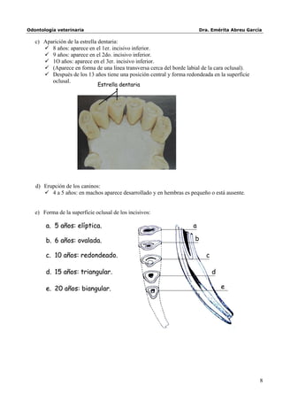 Odontología veterinaria                                                  Dra. Emérita Abreu García

   c) Aparición de la estrella dentaria:
       8 años: aparece en el 1er. incisivo inferior.
       9 años: aparece en el 2do. incisivo inferior.
       1O años: aparece en el 3er. incisivo inferior.
       (Aparece en forma de una línea transversa cerca del borde labial de la cara oclusal).
       Después de los 13 años tiene una posición central y forma redondeada en la superficie
         oclusal.
                              Estrella dentaria




   d) Erupción de los caninos:
       4 a 5 años: en machos aparece desarrollado y en hembras es pequeño o está ausente.


   e) Forma de la superficie oclusal de los incisivos:

       a. 5 años: elíptica.                                          a

       b. 6 años: ovalada.                                            b

       c. 10 años: redondeado.                                             c

       d. 15 años: triangular.                                                 d

       e. 20 años: biangular.                                                      e




                                                                                                 8
 