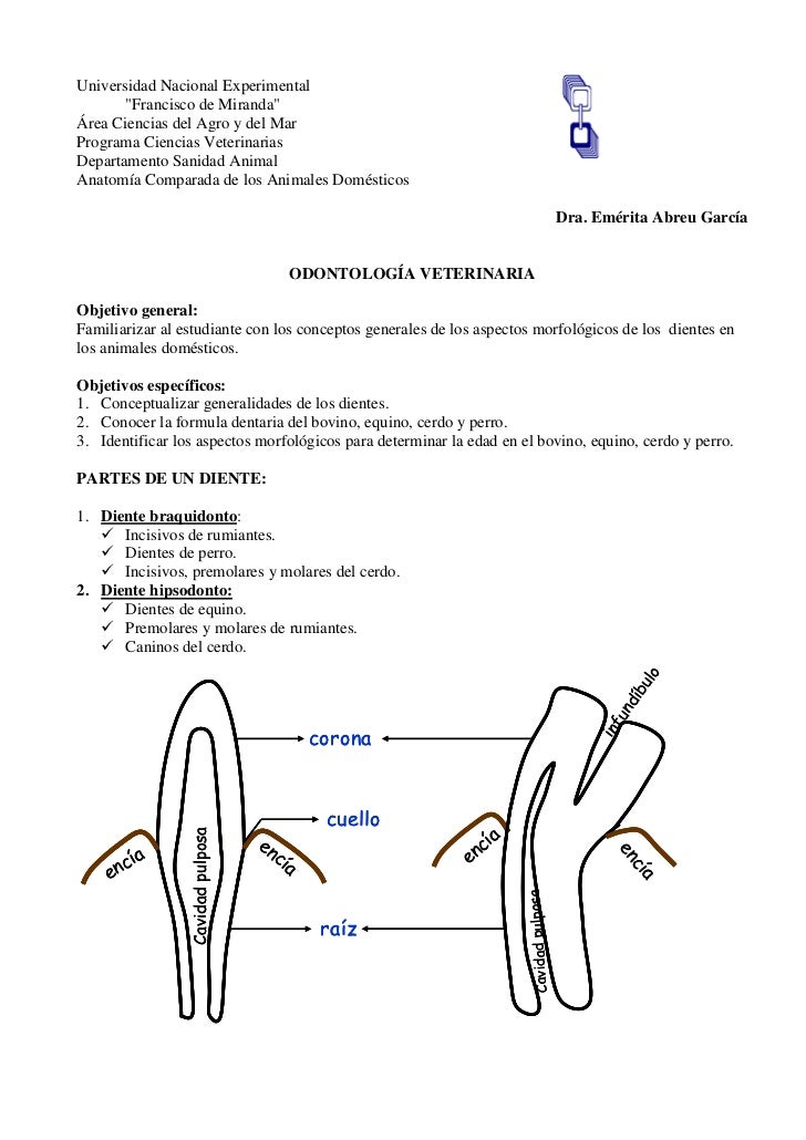 Experimental Dental School - Hideous Dance Attack!!! Experimental Dental School - Hideous Dance Attack!!!
