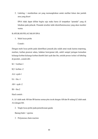 30
5. Labeling = memberikan zat yang memungkinkan untuk melihat lokasi dan jumlah
area yang dicari
DNA tidak dapat dilihat begitu saja maka harus di tempatkan “petanda” yang di
lekatkan pada pelacak. Penanda tersebut ialah ehemilluminscence yang akan member
warna.
B.APLIKASI PELACAKAN DNA
1. Multi locus probe
Contoh :
Dengan multi locus probe pada identifikasi jenazah jika sudah amat rusak karena terpotong,
mutilasi, korban pesawat udara, ledakan bom/granat dsb, ambil sampel jaringan kemudian
keluarga korban keluarga korban diambil dari ayah dan ibu, setelah proses isolasi s/d labeling
di peroleh , contoh sbb :
K1 = korban-1
K2= korban -2
AA= ayah-1
IA = ibu -1
AB = ayah -2
IB = ibu-2
Hasil contoh :
A ; k1 ialah anak AB dan IB karena semua pita cocok dengan AB dan B sedang k2 ialah anak
AA dengan BA
2. Single locus probe pada pemerkosaan ganda
Barang bukti = sperma
3. Polymerase chain reaction
 