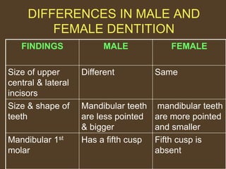 DIFFERENCES IN MALE AND
FEMALE DENTITION
FINDINGS MALE FEMALE
Size of upper
central & lateral
incisors
Different Same
Size & shape of
teeth
Mandibular teeth
are less pointed
& bigger
mandibular teeth
are more pointed
and smaller
Mandibular 1st
molar
Has a fifth cusp Fifth cusp is
absent
 
