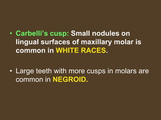 • Carbelli’s cusp: Small nodules on
lingual surfaces of maxillary molar is
common in WHITE RACES.
• Large teeth with more cusps in molars are
common in NEGROID.
 