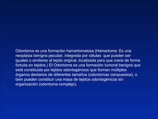 Odontoma es una formación hamartomatosa ( Hamartoma: Es una neoplasia benigna peculiar, integrada por células  que pueden ...