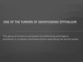 ONE OF THE TUMORS OF ODONTOGENIC EPITHELIUM



This group of tumors is composed of proliferating odontogenic
epithelium in a cellular ectomesenchyme resembling the dental papilla.
 