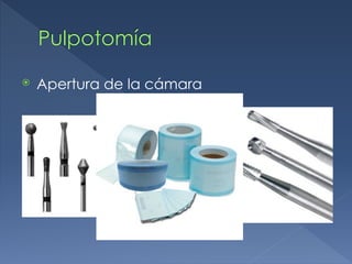 Pulpotomía
⦿ Apertura de la cámara
 