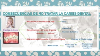 Dientes de leche
Afectación en la calidad de vida
Complicaciones en otros órganos
Alteración del desarrollo craneomaxilofacial
Sistémico
Germen definitivo
Pérdida prematura dtes
Problemas de
espacio
Alteraciones
crecimiento
maxilares
Maloclusión
Infección Absceso
Dolor
 