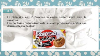 • La dieta rica en HC favorece la caries dental, sobre todo, la
sacarosa.
• Las bacterias metabolizan este sustrato produciendo ácidos que
dañan el tejido dentario.
 