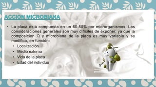 • La placa está compuesta en un 60-80% por microrganismos. Las
consideraciones generales son muy dificiles de exponer, ya que la
composicion Q y microbiana de la placa es muy variable y se
modifica, en función:
• Localización
• Medio externo
• Vida de la placa
• Edad del individuo
 