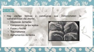 • Hay ciertas formas y patologías que comprometen la
vulnerabilidad del diente:
• Displasias dentarias
• Composición de los tejidos
• Fosas y fisuras
• Traumatismos
• Apiñamientos dentarios
 