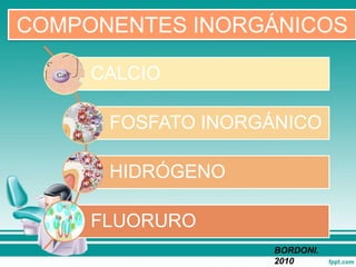 CALCIO
FOSFATO INORGÁNICO
HIDRÓGENO
FLUORURO
COMPONENTES INORGÁNICOS
BORDONI.
2010
 
