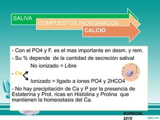 SALIVA
COMPUESTOS INORGÁNICOS
CALCIO
- Con el PO4 y F, es el mas importante en desm. y rem.
- Su % depende de la cantidad de secreción salival
No ionizado = Libre
-
Ionizado = ligado a iones PO4 y 2HCO4
- No hay precipitación de Ca y P por la presencia de
Estaterina y Prot. ricas en Histidina y Prolina que
mantienen la homeostasis del Ca.
BORDONI.
2010
 