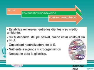 SALIVA
COMPUESTOS INORGÁNICOS
FOSFATO INORGÁNICO
- Estabiliza minerales entre los dientes y su medio
ambiente.
- Su % depende del pH salival, puede estar unido al Ca
y Prot.
- Capacidad neutralizadora de la S.
- Nutriente a algunos microorganismos
- Necesario para la glicólisis.
BORDONI.
2010
 