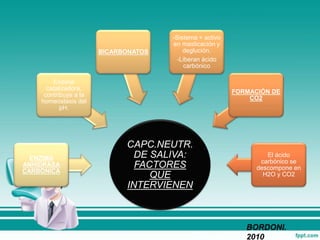 CAPC.NEUTR.
DE SALIVA:
FACTORES
QUE
INTERVIENEN
ENZIMA
ANHIDRASA
CARBÓNICA
Enzima
catalizadora,
contribuye a la
homeostasis del
pH.
BICARBONATOS
-Sistema + activo
en masticación y
deglución.
-Liberan ácido
carbónico
FORMACIÓN DE
CO2
El ácido
carbónico se
descompone en
H2O y CO2
BORDONI.
2010
 