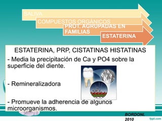 SALIVA
COMPUESTOS ORGÁNICOS
PROT. AGRUPADAS EN
FAMILIAS
ESTATERINA
ESTATERINA, PRP, CISTATINAS HISTATINAS
- Media la precipitación de Ca y PO4 sobre la
superficie del diente.
- Remineralizadora
- Promueve la adherencia de algunos
microorganismos.
BORDONI.
2010
 