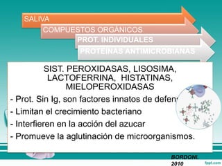 SALIVA
COMPUESTOS ORGÁNICOS
PROT. INDIVIDUALES
PROTEINAS ANTIMICROBIANAS
SIST. PEROXIDASAS, LISOSIMA,
LACTOFERRINA, HISTATINAS,
MIELOPEROXIDASAS
- Prot. Sin Ig, son factores innatos de defensa
- Limitan el crecimiento bacteriano
- Interfieren en la acción del azucar
- Promueve la aglutinación de microorganismos.
BORDONI.
2010
 