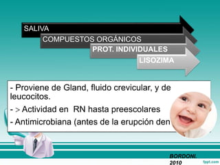 SALIVA
COMPUESTOS ORGÁNICOS
PROT. INDIVIDUALES
LISOZIMA
- Proviene de Gland, fluido crevicular, y de
leucocitos.
-  Actividad en RN hasta preescolares
- Antimicrobiana (antes de la erupción dental)
BORDONI.
2010
 